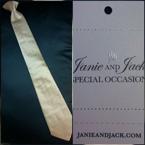 Janie & Jack Boys 10 Clip on Tie Champagne